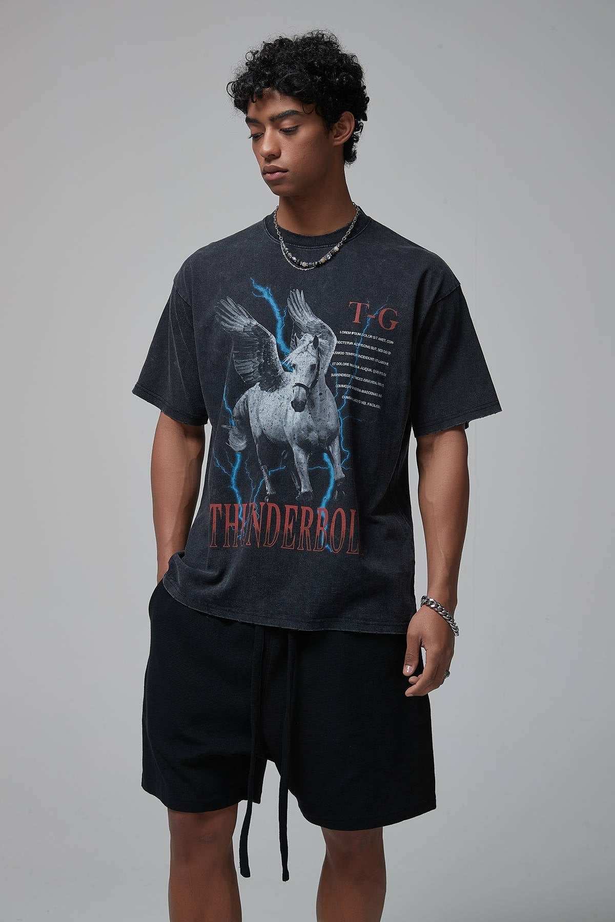 Pegasus Print Men T-Shirt